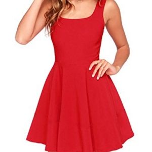 Lulus dresses   S. Skater Dress